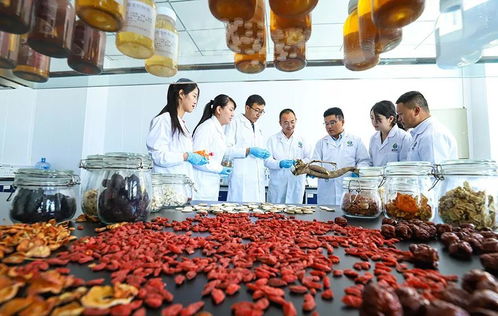 科技賦能，張掖植物工廠助力農特產品提質增效